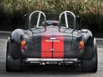 AC Cobra Limited Edition by Weineck 2006 года